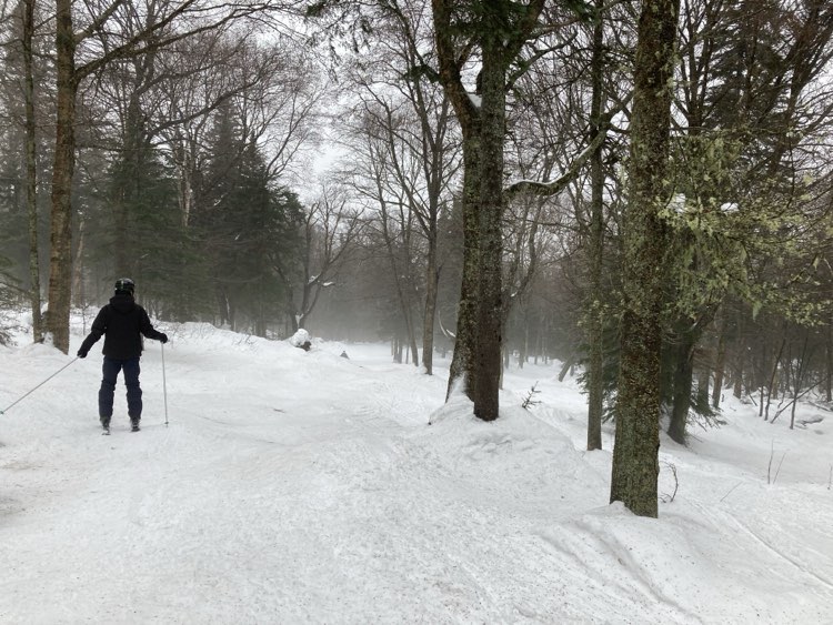 Mont Sainte Anne - La piste du jour est l'Expresse