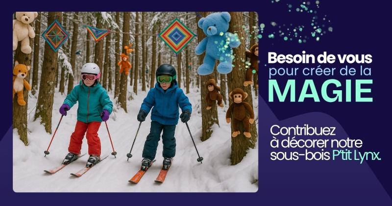 Mont Grand-Fonds - Une véritable Forêt Magique se transforme Mont Grand-Fonds - Une véritable Forêt Magique se transforme