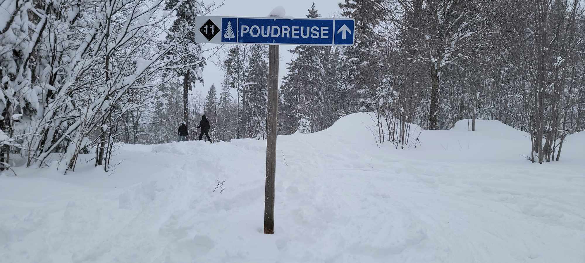Parc du Mont Saint-Mathieu -Une belle neige naturelle juste pour nous.