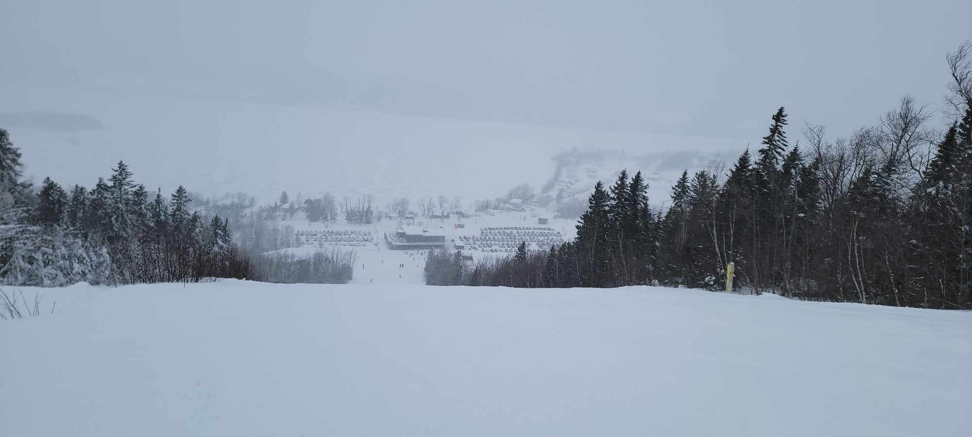 Parc du Mont Saint-Mathieu -Une belle neige naturelle juste pour nous.