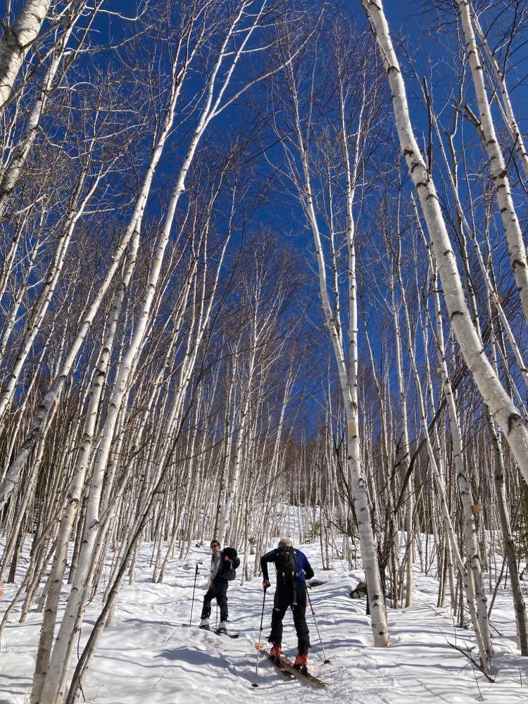 Station touristique Pin Rouge - Au sommet sur la Baie des Chaleurs 