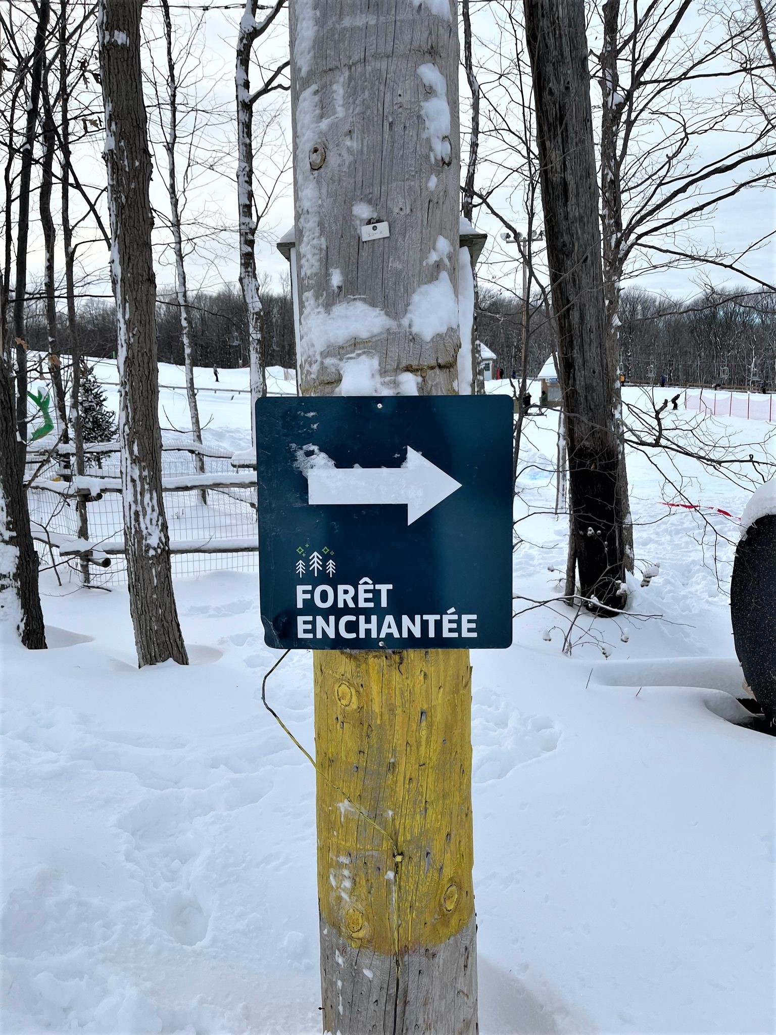 Ski Saint Bruno - Une montagne d'exception