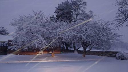 Solitude Resort - La panique total ce matin suite à l'alerte de poudreuse émise