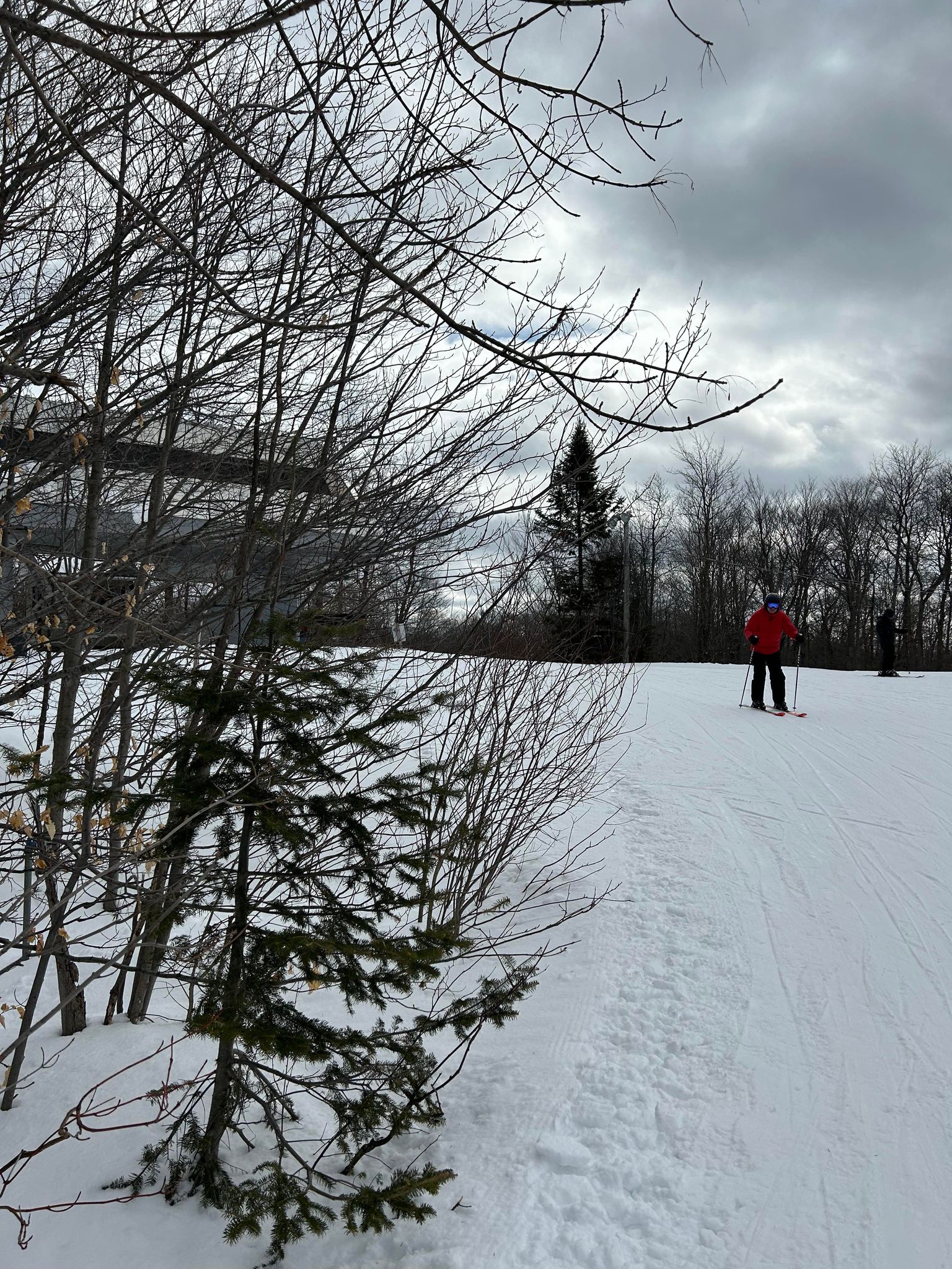 Sommet Saint-Sauveur -  Le printemps est arrivé, c'est la belle saison
