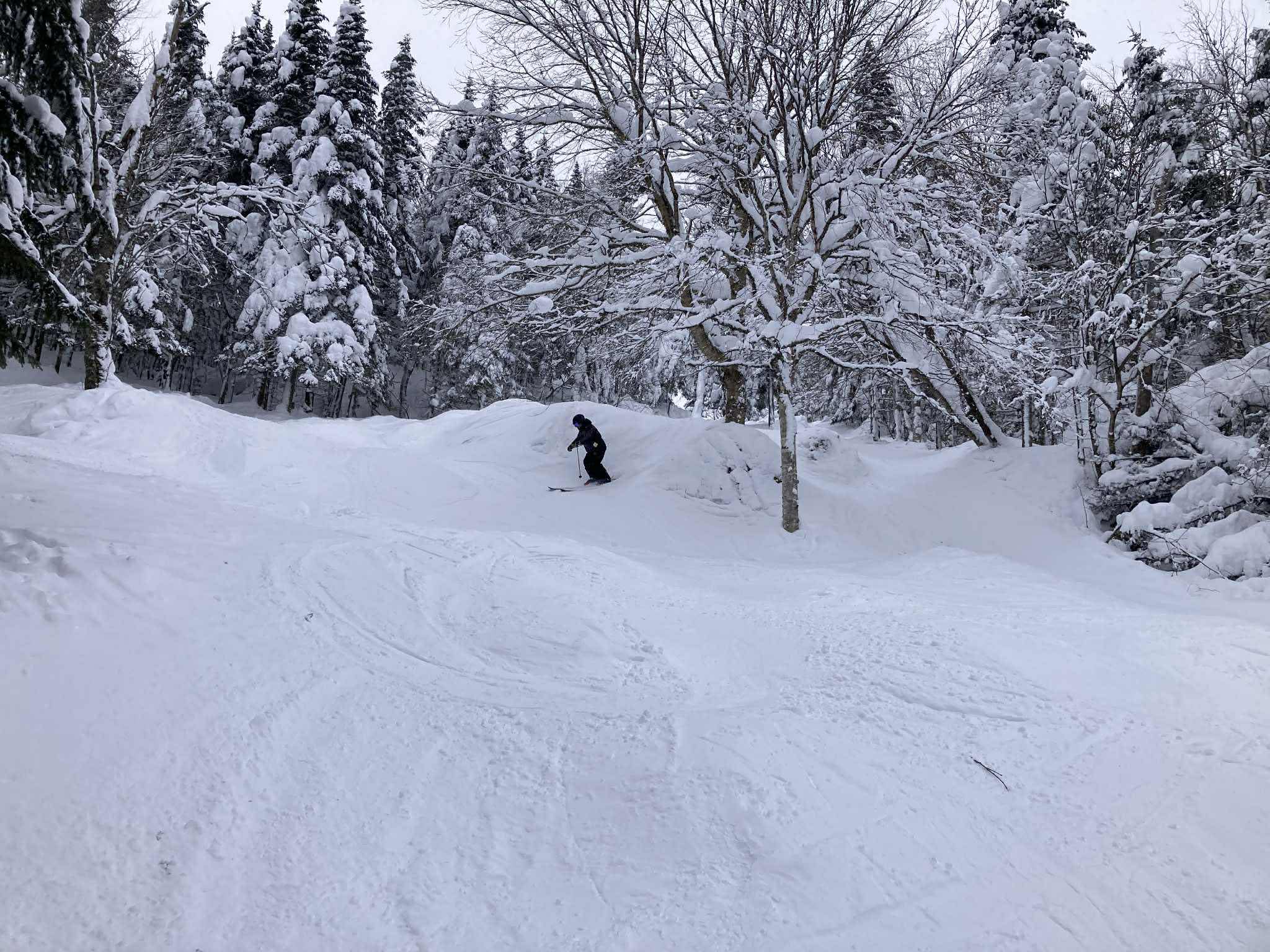Stoneham - Une magnifique bordée