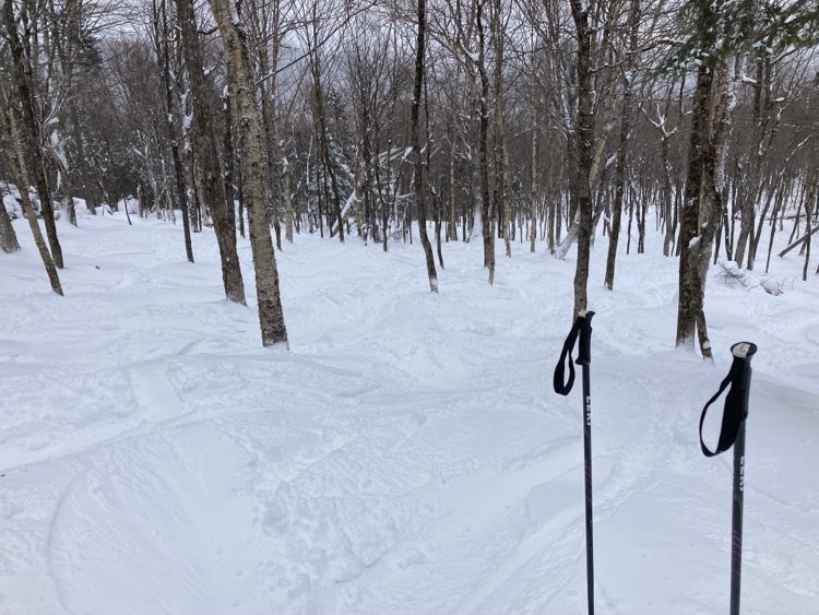 Station touristique Stoneham - Une belle bordée!