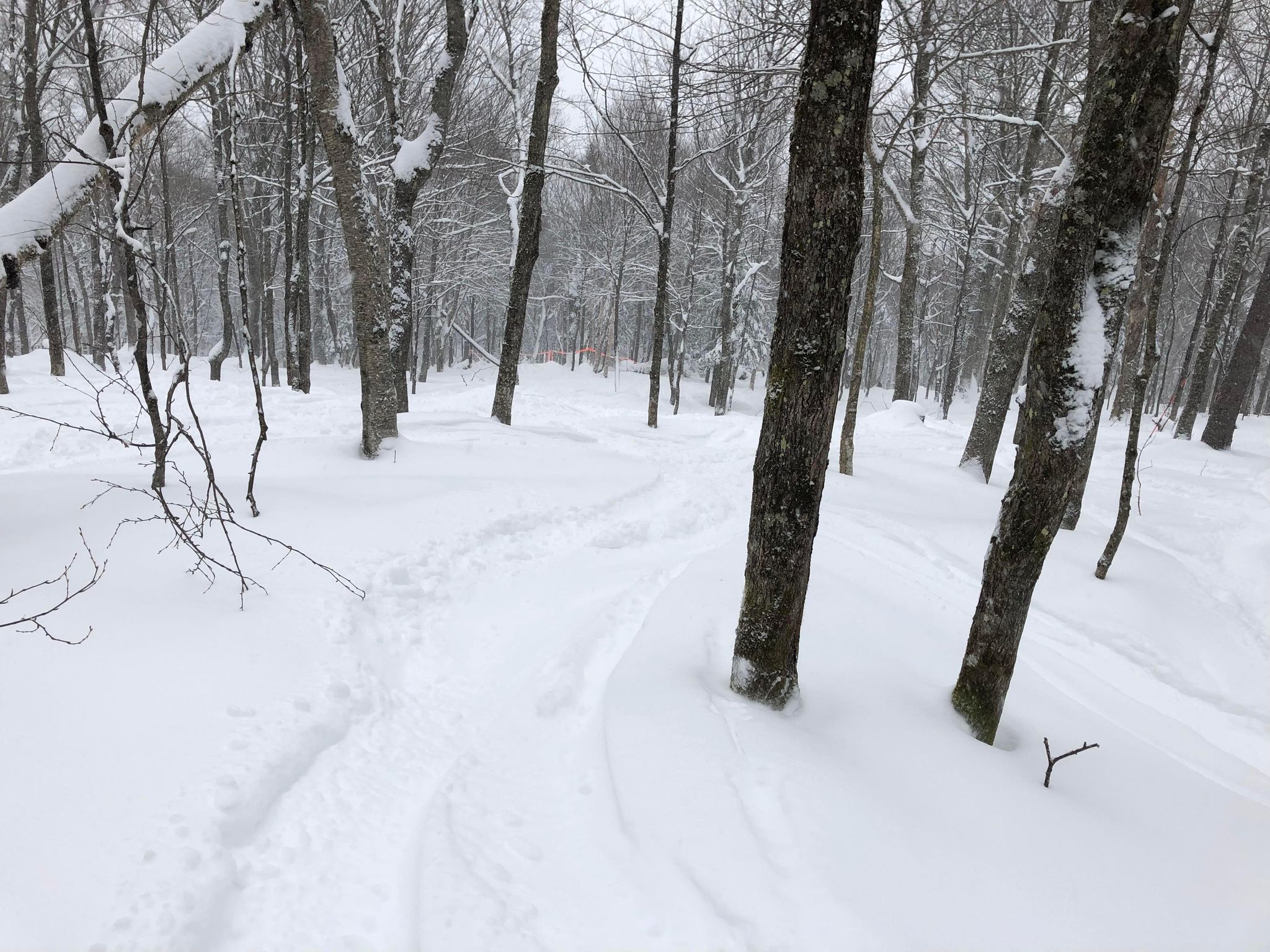 Station touristique Stoneham - Ruée vers l’or blanc
