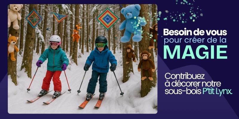 Mont Grand-Fonds -  Une véritable Forêt Magique se transforme