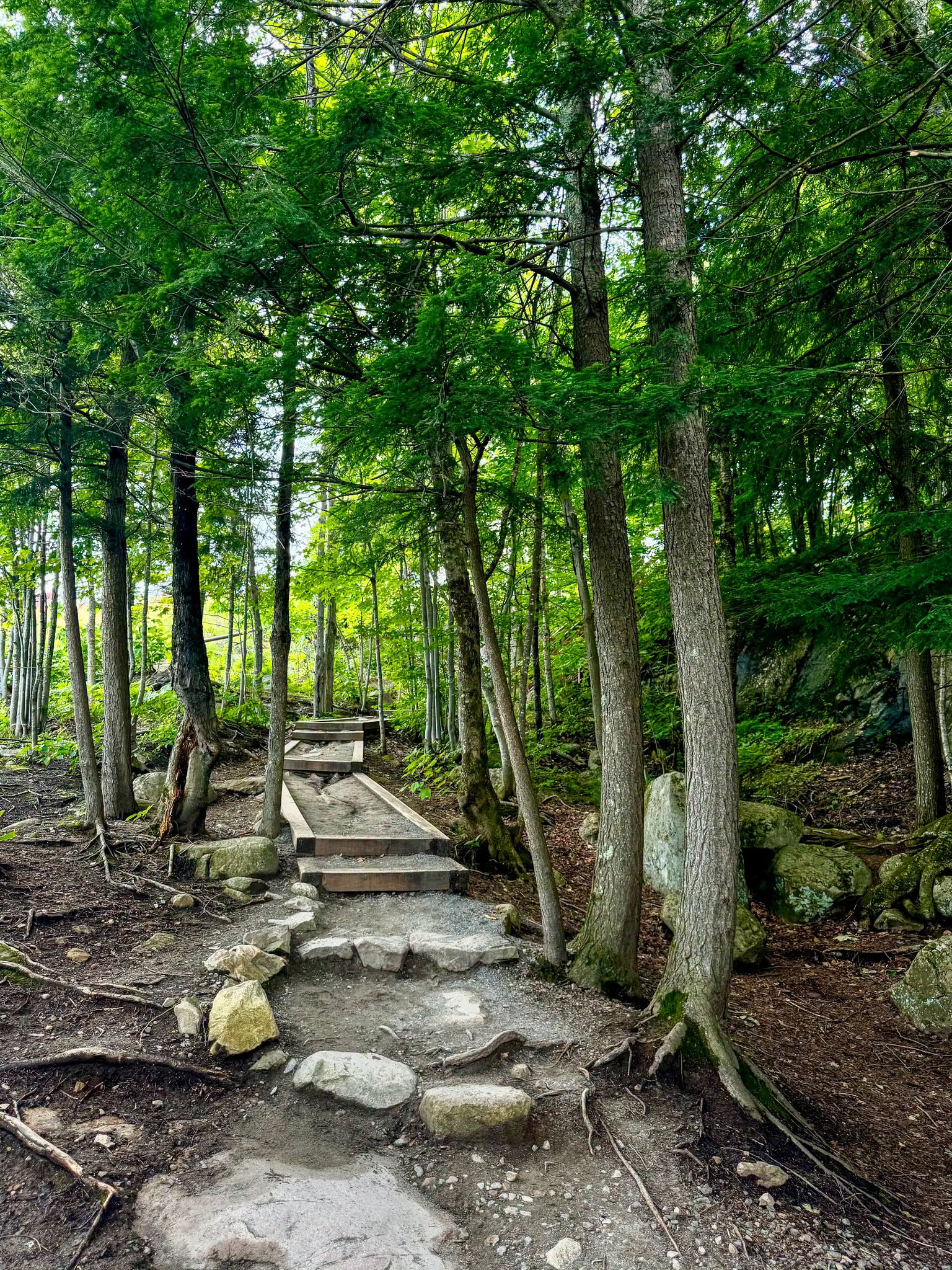 Tremblant - On se laisser émerveiller par la naturelle Tremblant - On se laisser émerveiller par la naturelle