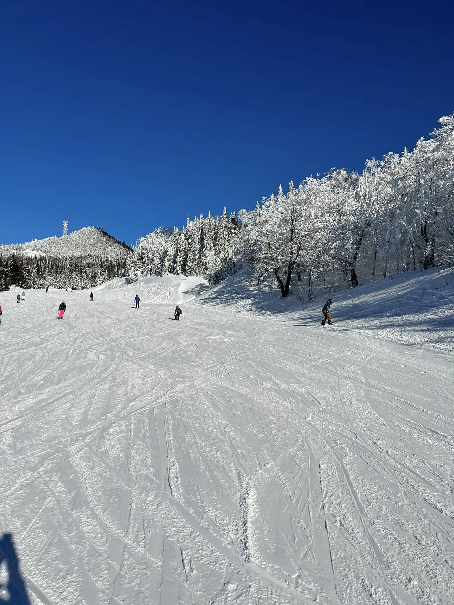 Mont Tremblant - Les skis fredonne sur les pentes